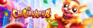 Kinh nghiệm chơi nổ hũ Chilihuahua giúp bạn hốt bạc